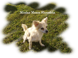 Minka Monn Slovakia