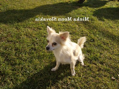 Minka Monn Slovakia